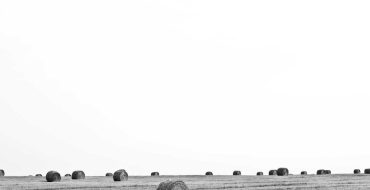 Quibusdam sapiente sequi voluptatem aut repellendus