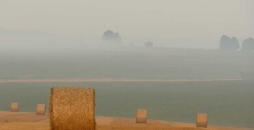 Qui dolores libero sunt quia at non